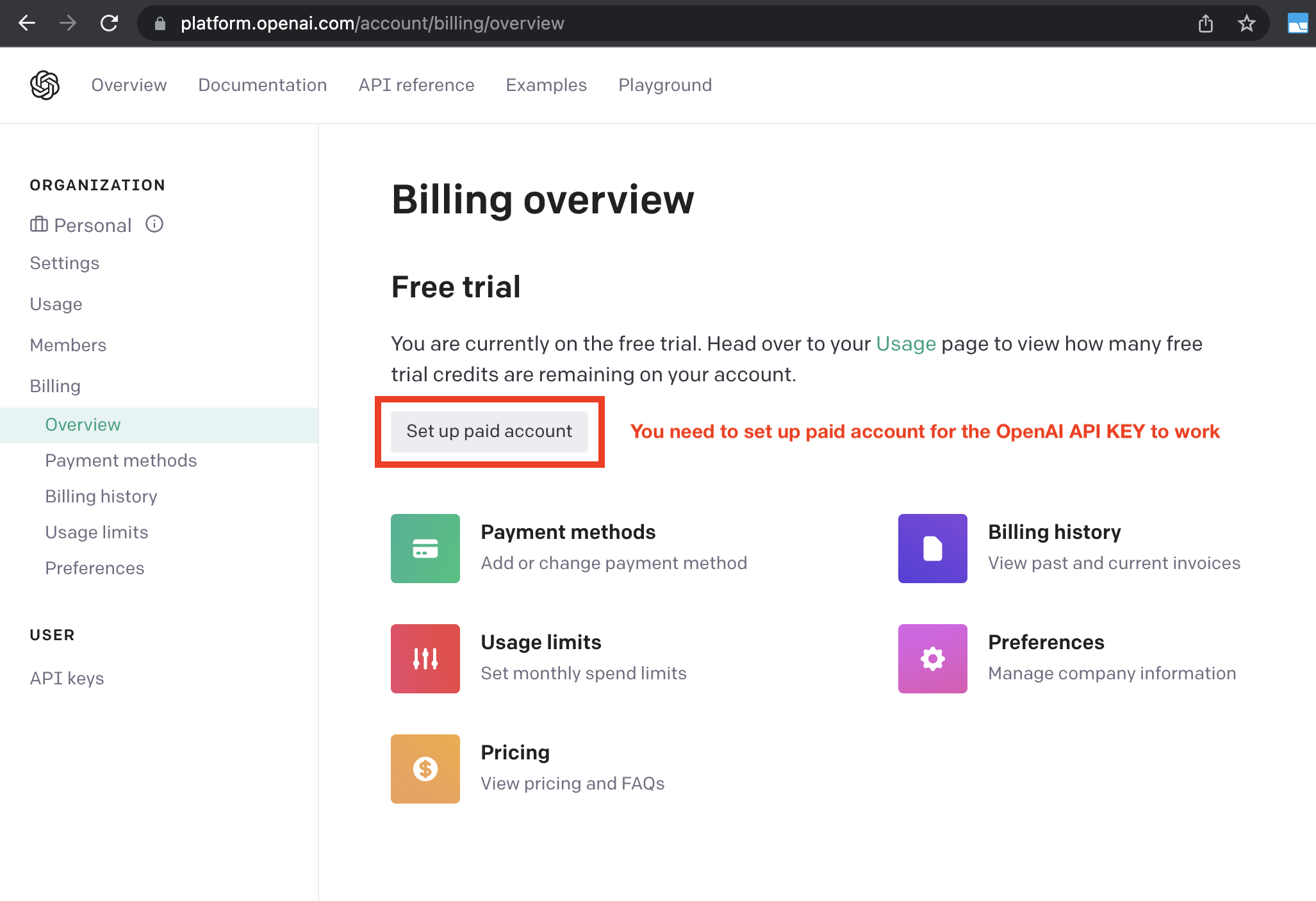For OpenAI API key to work, set up paid account at OpenAI API > Billing